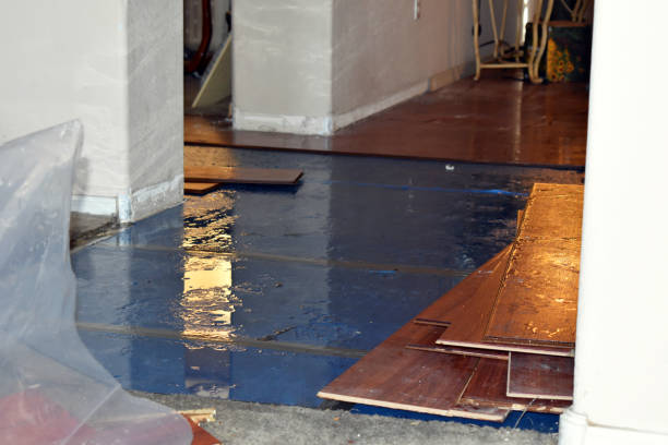 Professional Basement Flood Cleanup technician working in Lone Oak, TX